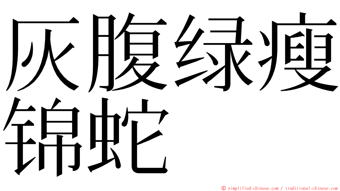 灰腹绿瘦锦蛇 ming font