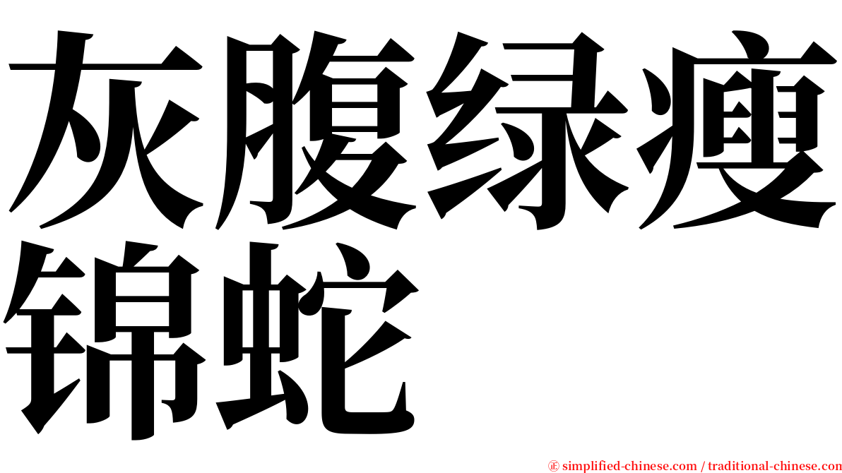 灰腹绿瘦锦蛇 serif font