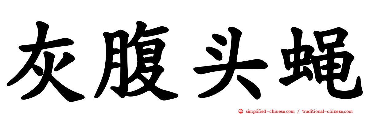 灰腹头蝇