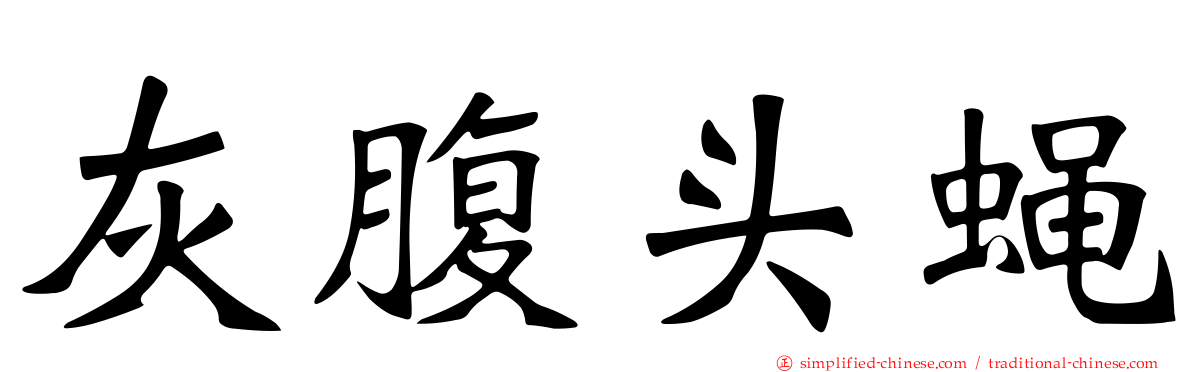 灰腹头蝇
