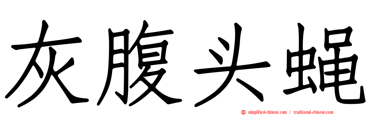 灰腹头蝇