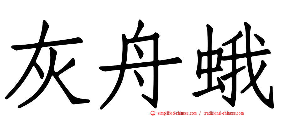 灰舟蛾