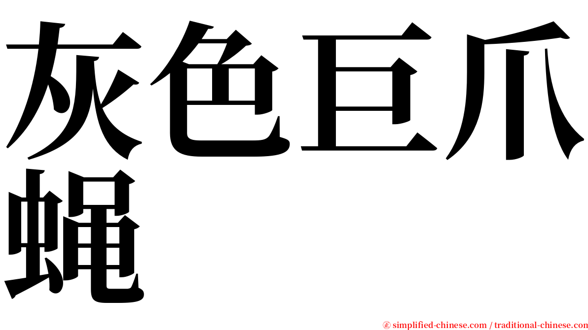 灰色巨爪蝇 serif font