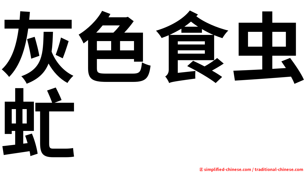 灰色食虫虻