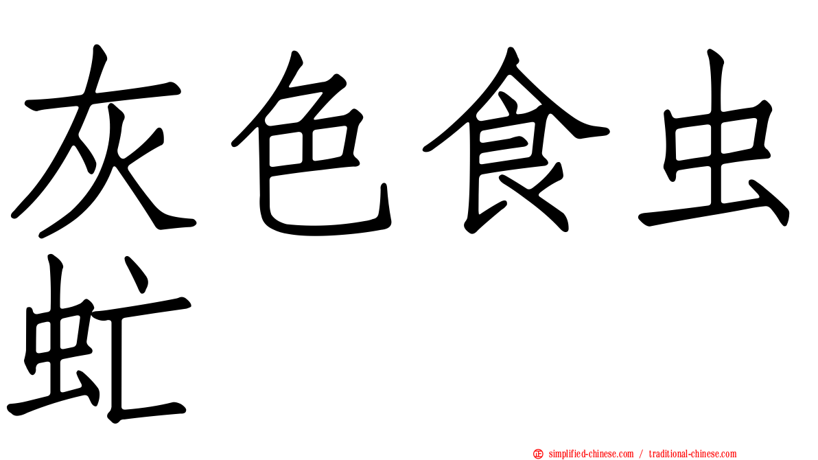 灰色食虫虻