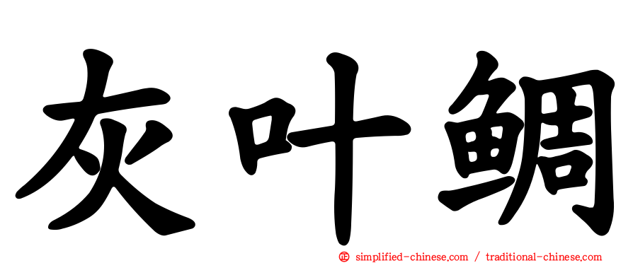 灰叶鲷