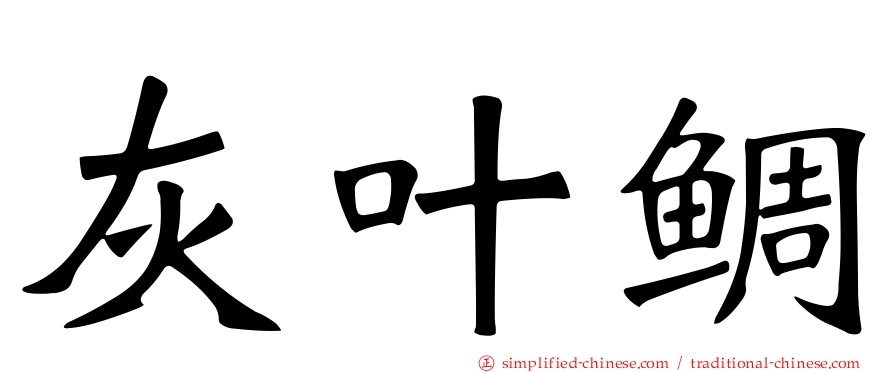 灰叶鲷