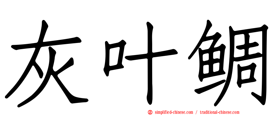 灰叶鲷