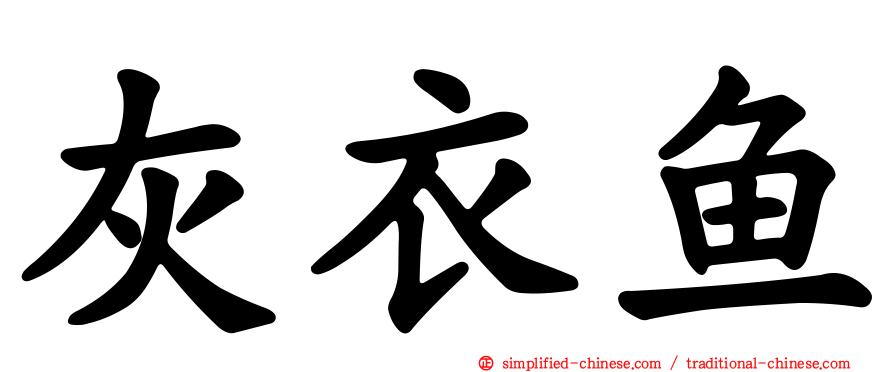 灰衣鱼