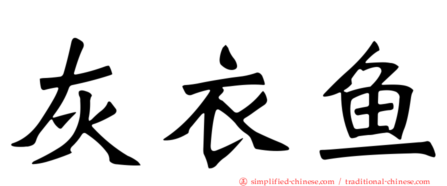灰衣鱼