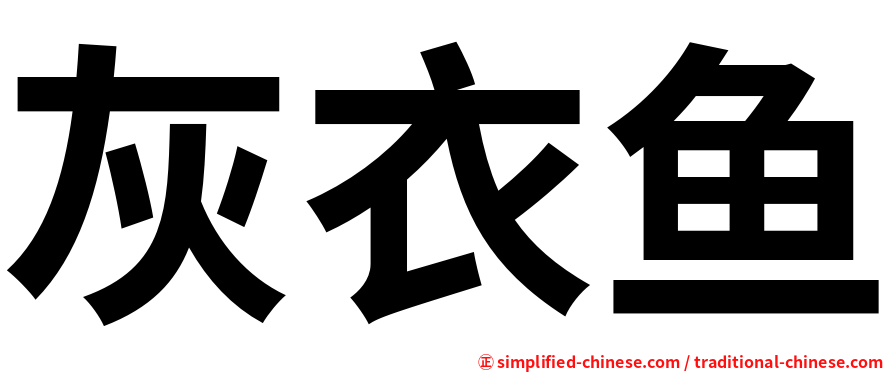 灰衣鱼