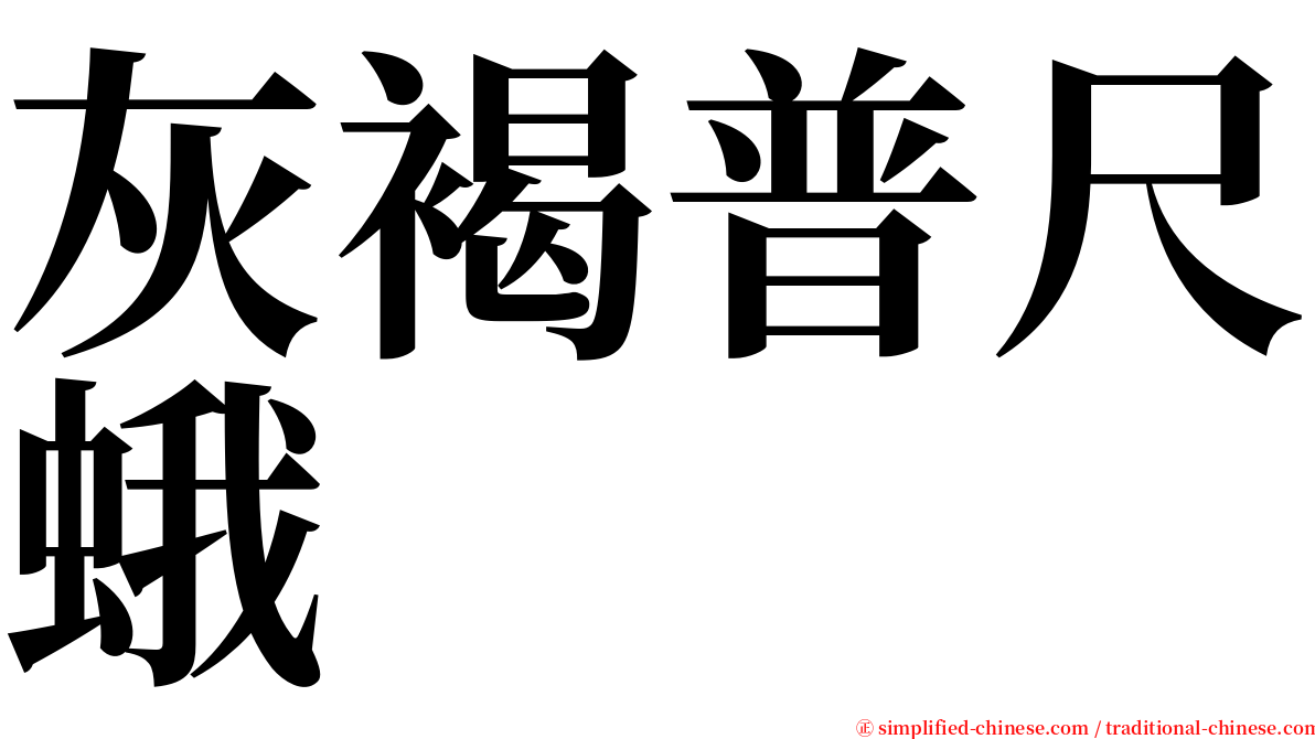 灰褐普尺蛾 serif font