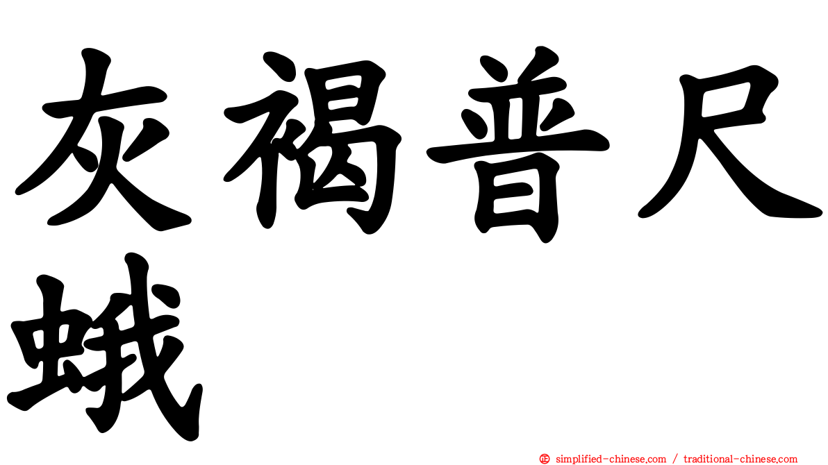 灰褐普尺蛾
