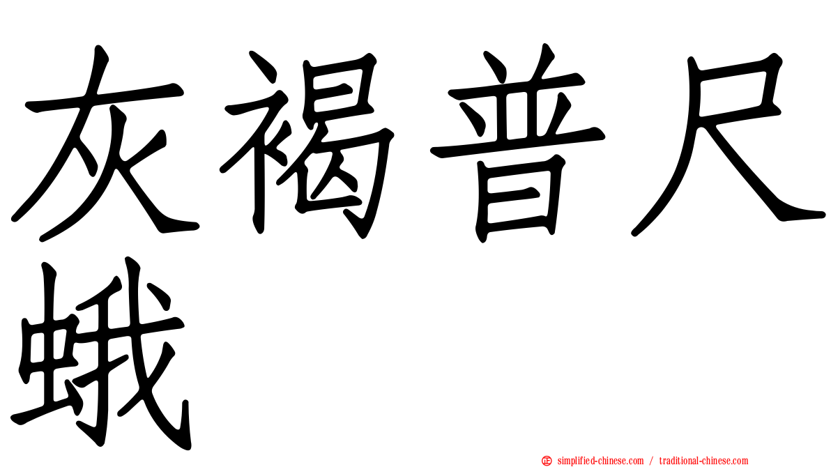 灰褐普尺蛾