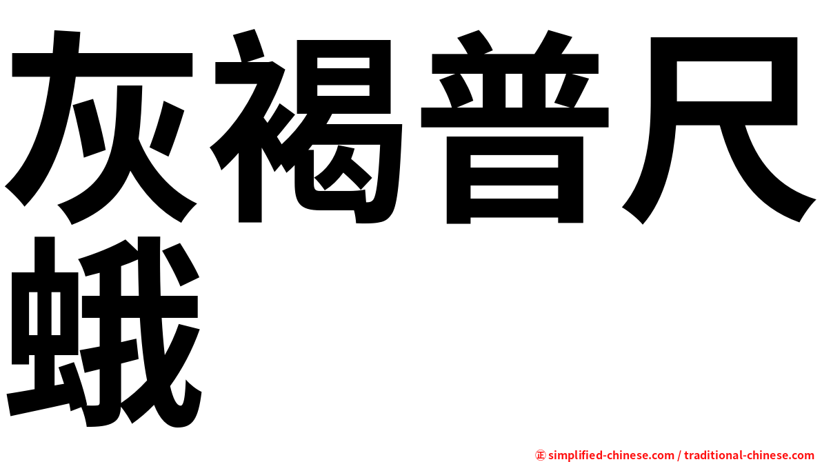 灰褐普尺蛾