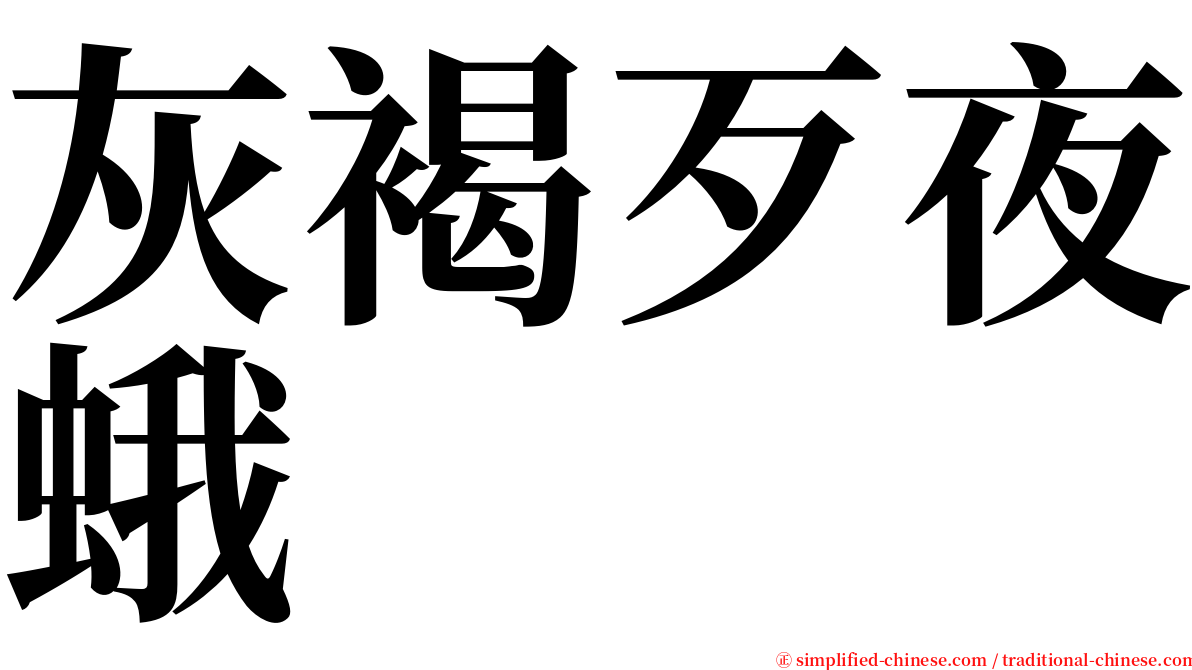 灰褐歹夜蛾 serif font