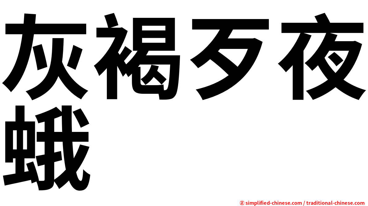 灰褐歹夜蛾