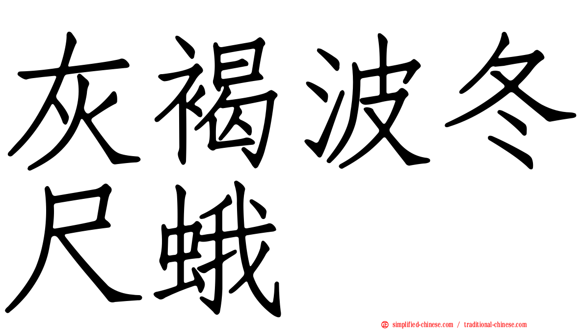 灰褐波冬尺蛾