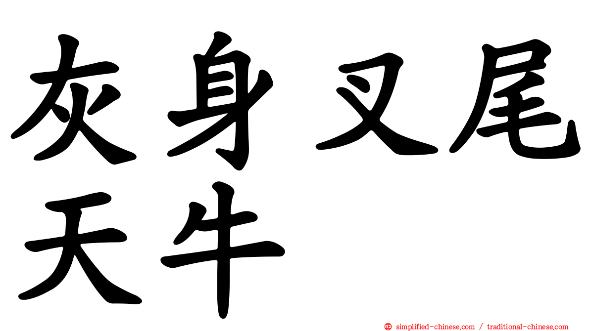 灰身叉尾天牛