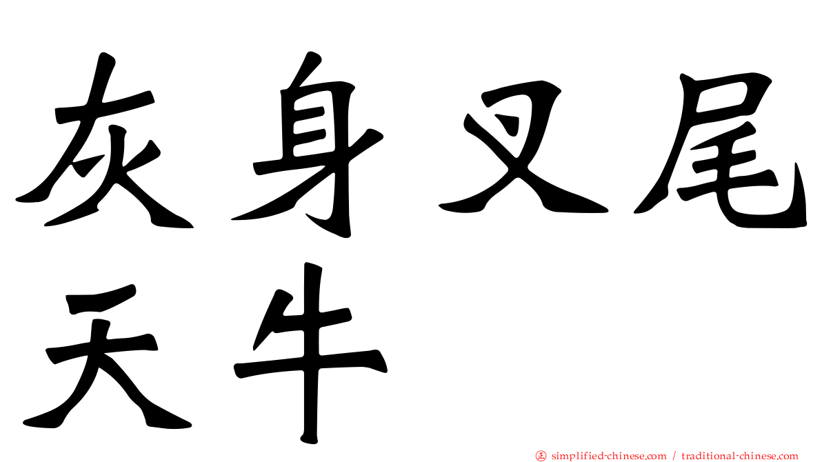 灰身叉尾天牛