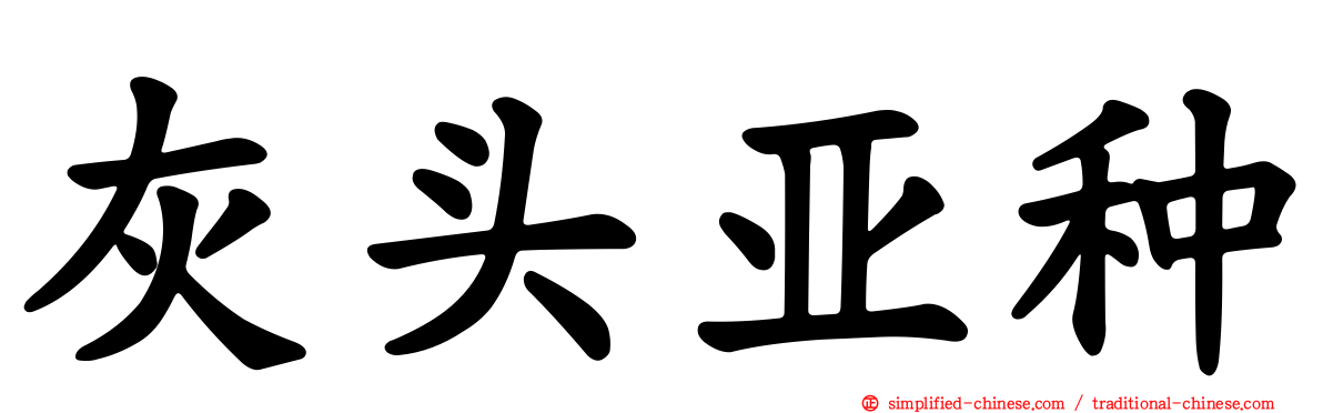 灰头亚种