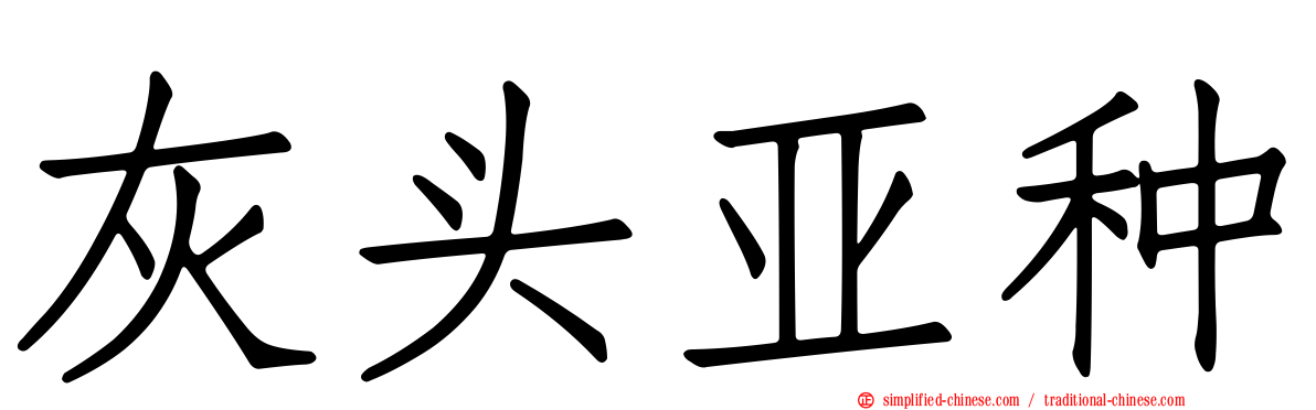 灰头亚种