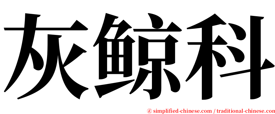 灰鲸科 serif font