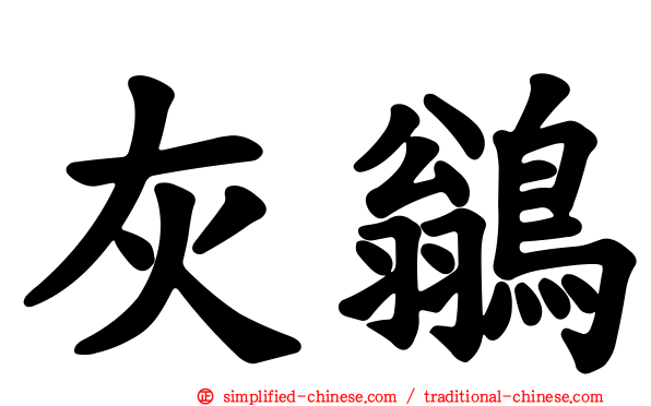 灰鹟