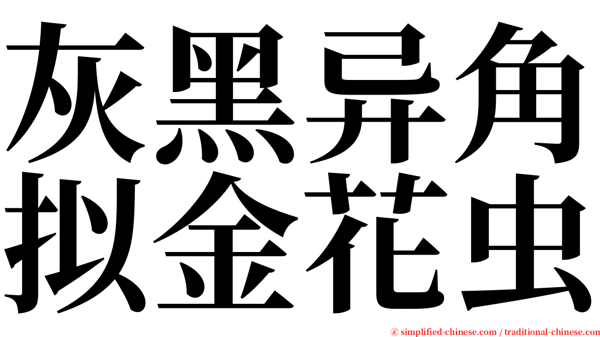 灰黑异角拟金花虫 serif font
