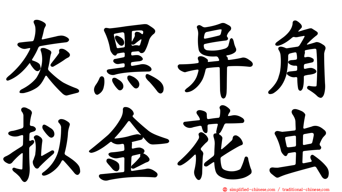 灰黑异角拟金花虫