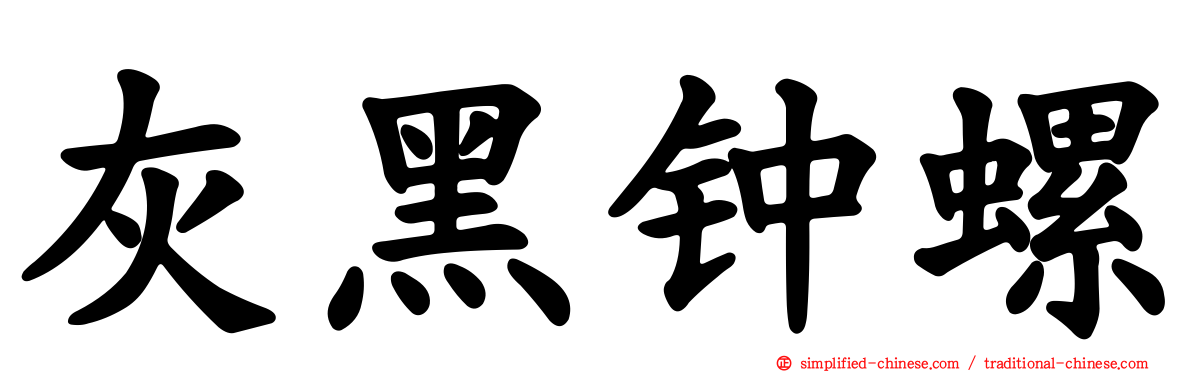 灰黑钟螺