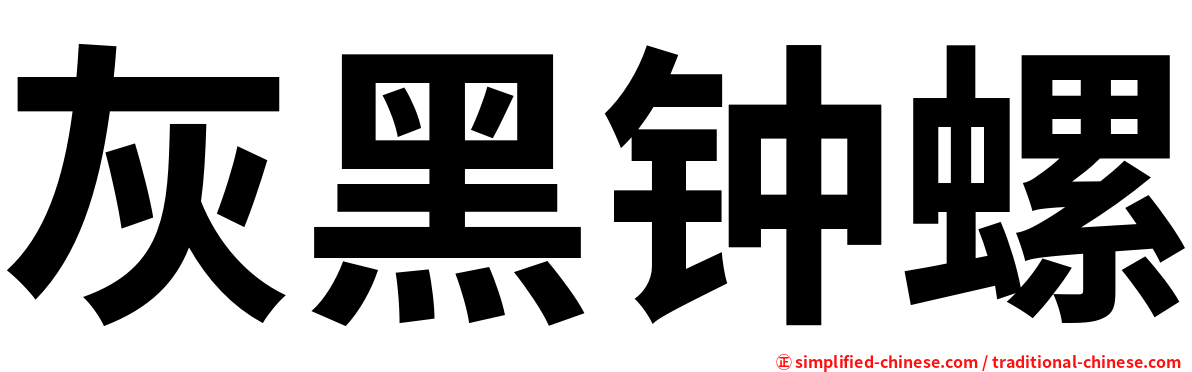 灰黑钟螺