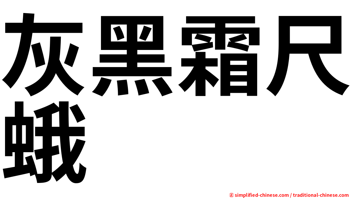 灰黑霜尺蛾