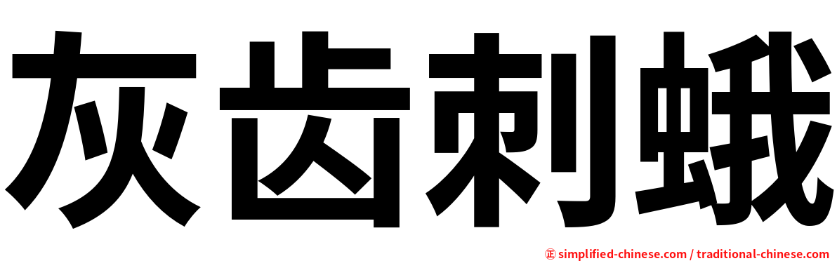 灰齿刺蛾