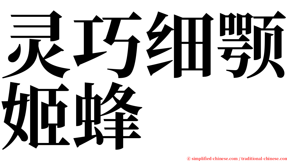 灵巧细颚姬蜂 serif font