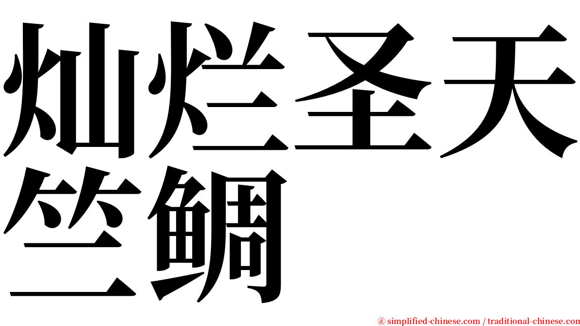 灿烂圣天竺鲷 serif font