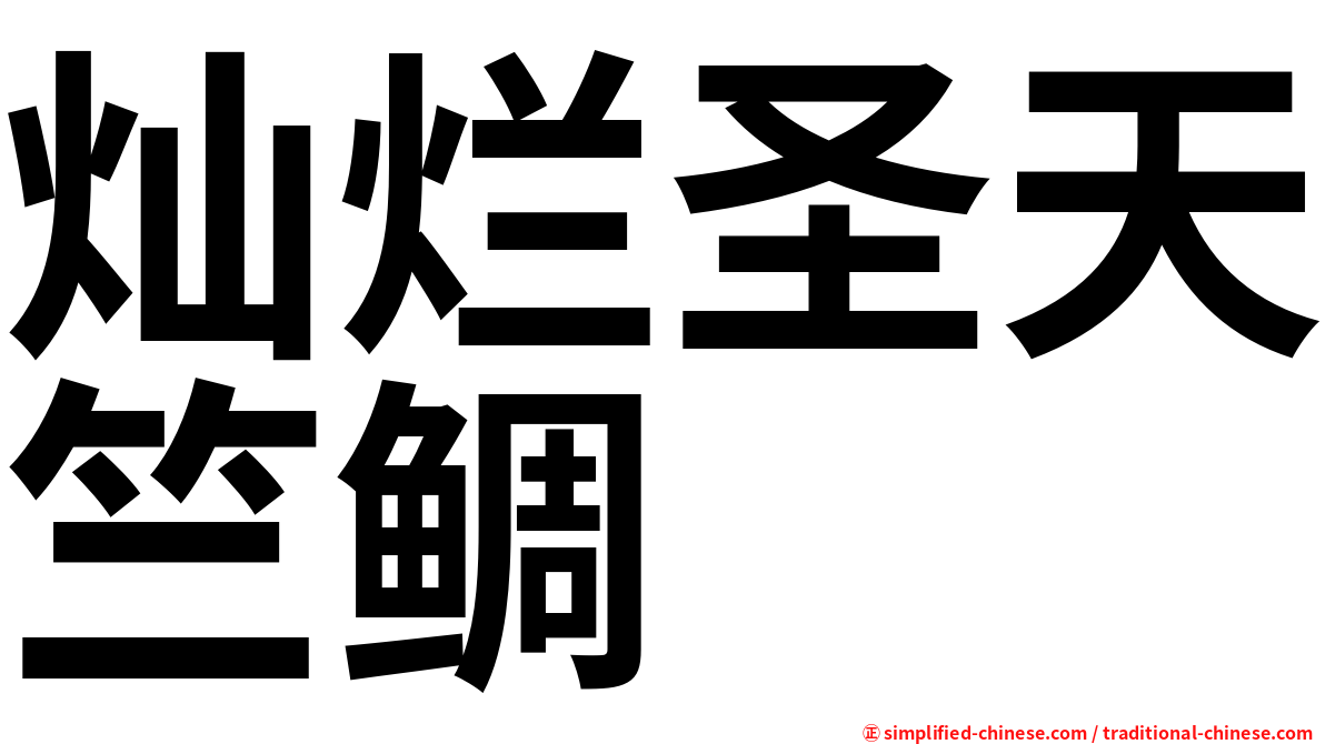 灿烂圣天竺鲷