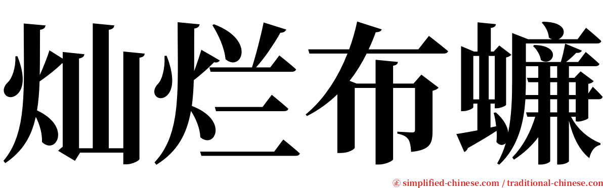 灿烂布蠊 serif font
