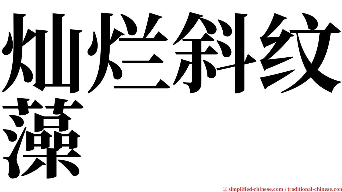 灿烂斜纹藻 serif font
