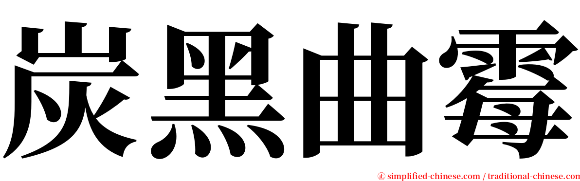 炭黑曲霉 serif font