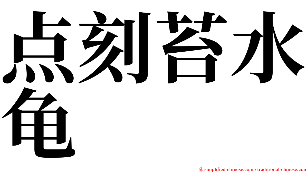 点刻苔水龟 serif font