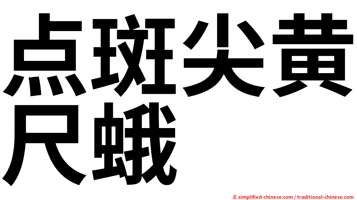 点斑尖黄尺蛾