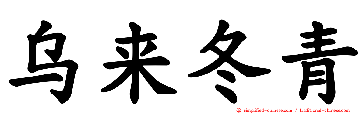 乌来冬青