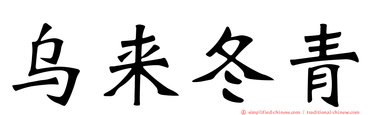 乌来冬青