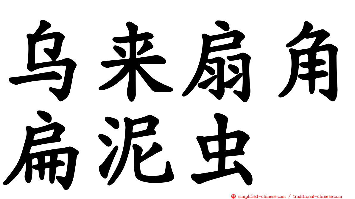 乌来扇角扁泥虫