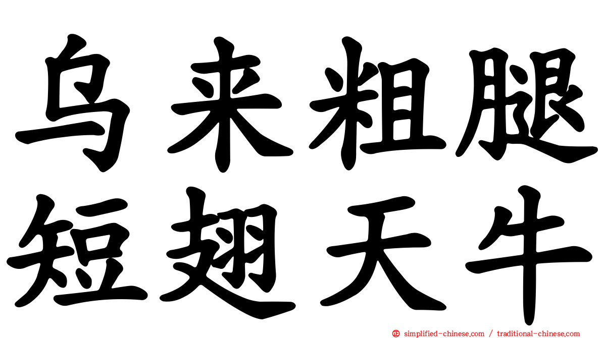 乌来粗腿短翅天牛