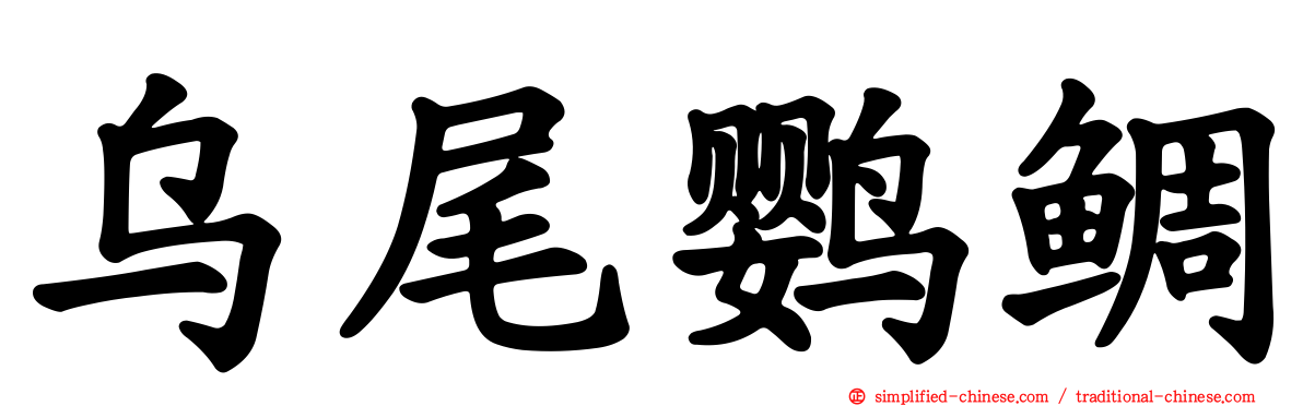 乌尾鹦鲷