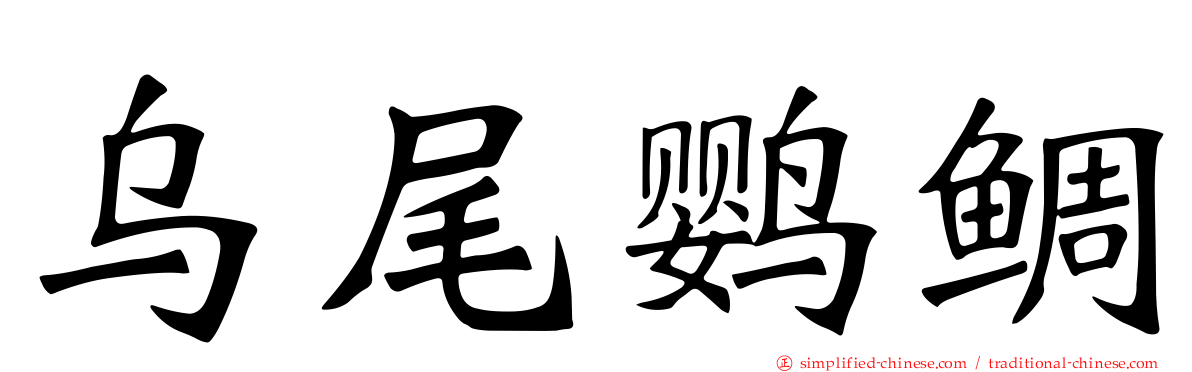乌尾鹦鲷
