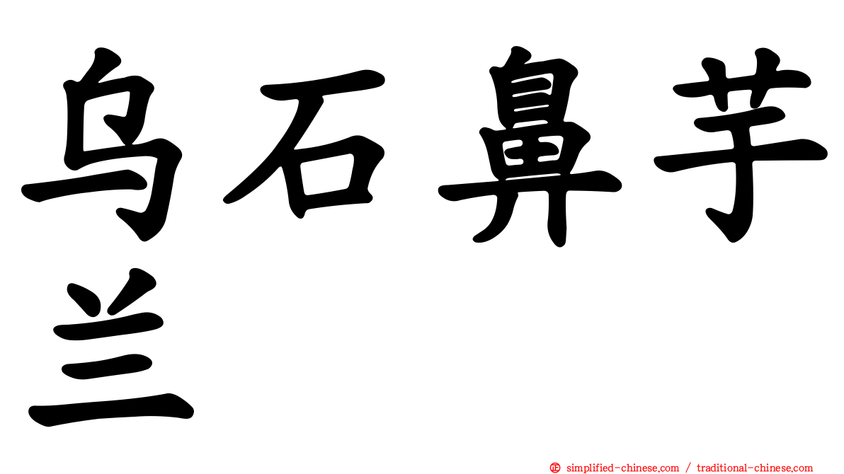 乌石鼻芋兰