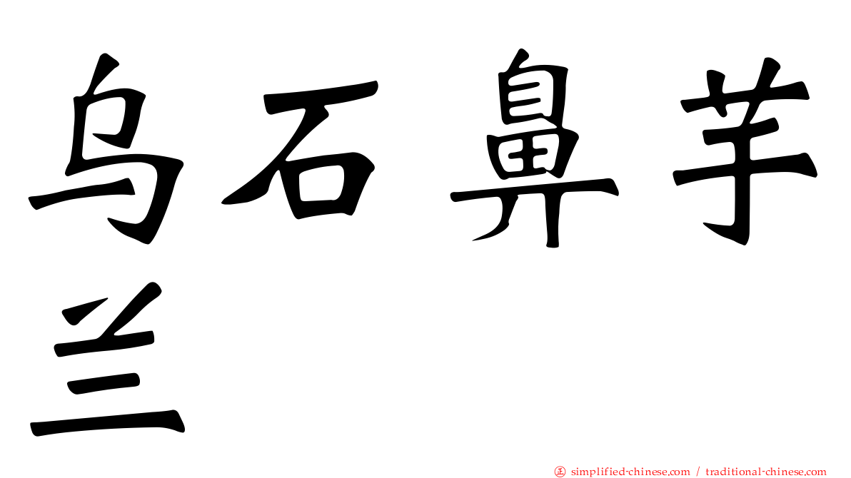乌石鼻芋兰